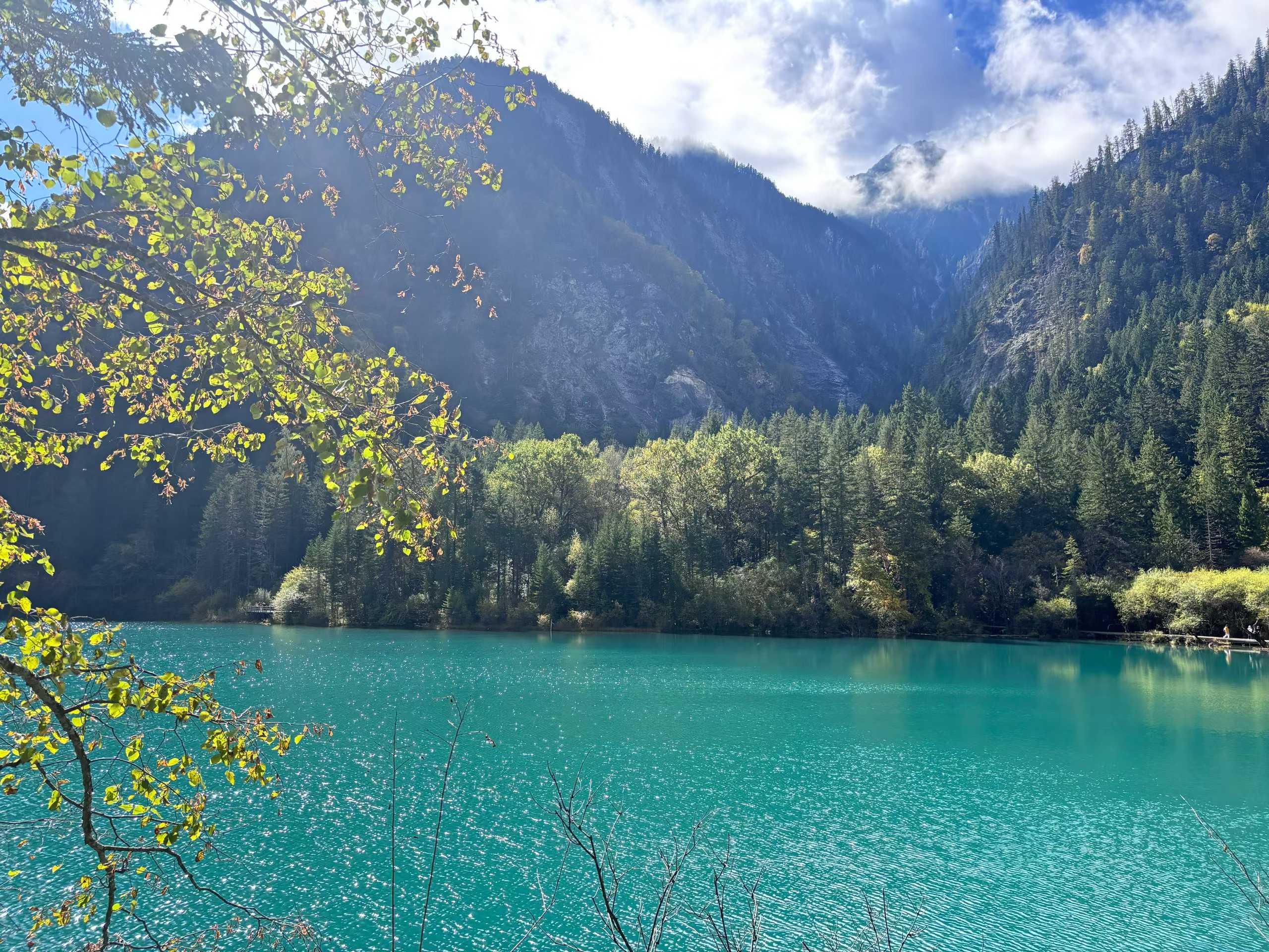 游江西，赴四川，飞港澳：众优教育英才三路齐发，携手共赏山河锦绣(图7)